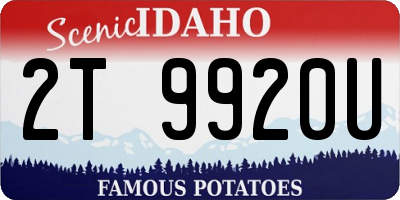 ID license plate 2T9920U