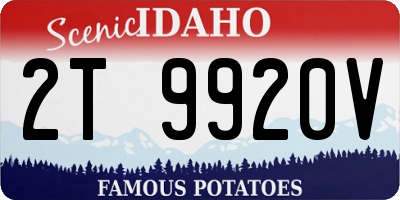 ID license plate 2T9920V