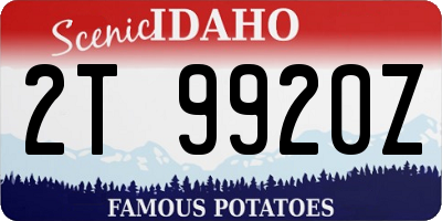 ID license plate 2T9920Z