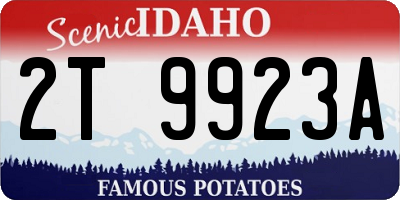 ID license plate 2T9923A