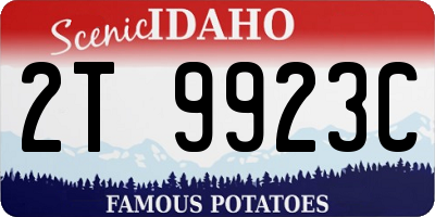 ID license plate 2T9923C