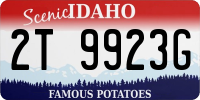 ID license plate 2T9923G