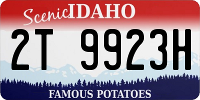 ID license plate 2T9923H