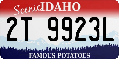 ID license plate 2T9923L