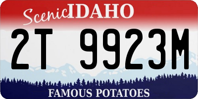 ID license plate 2T9923M