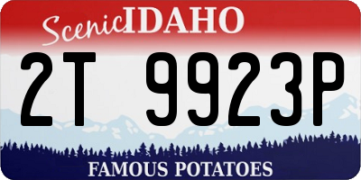 ID license plate 2T9923P