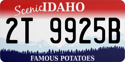 ID license plate 2T9925B