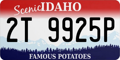 ID license plate 2T9925P