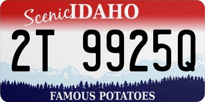 ID license plate 2T9925Q