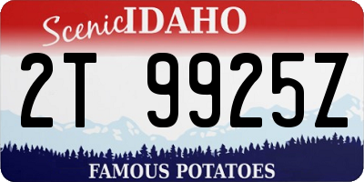 ID license plate 2T9925Z