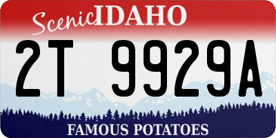 ID license plate 2T9929A