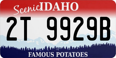 ID license plate 2T9929B