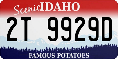 ID license plate 2T9929D