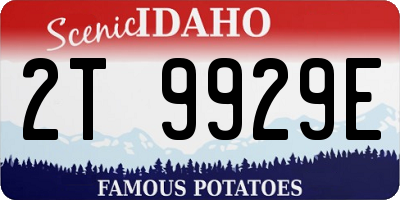 ID license plate 2T9929E