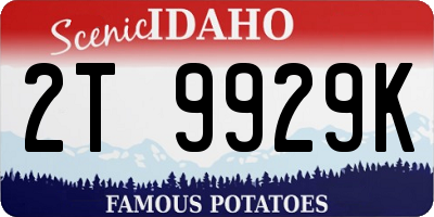 ID license plate 2T9929K