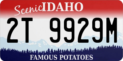 ID license plate 2T9929M