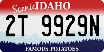 ID license plate 2T9929N