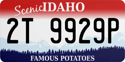 ID license plate 2T9929P