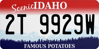 ID license plate 2T9929W