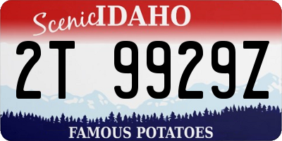 ID license plate 2T9929Z