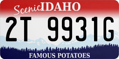 ID license plate 2T9931G