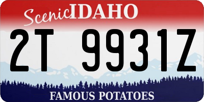 ID license plate 2T9931Z