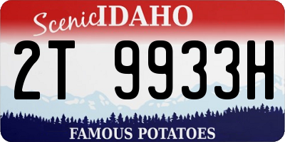 ID license plate 2T9933H