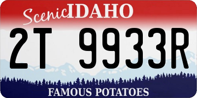 ID license plate 2T9933R