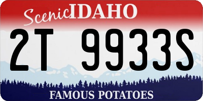 ID license plate 2T9933S