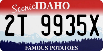 ID license plate 2T9935X