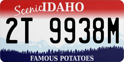 ID license plate 2T9938M