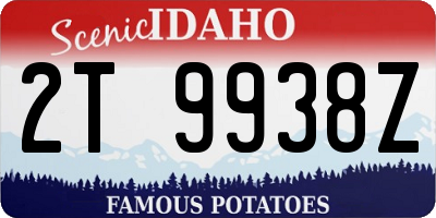 ID license plate 2T9938Z