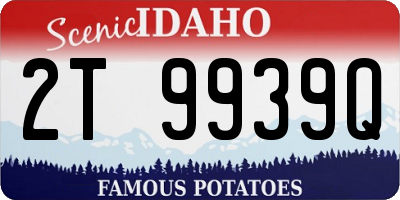 ID license plate 2T9939Q