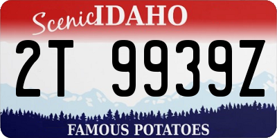 ID license plate 2T9939Z