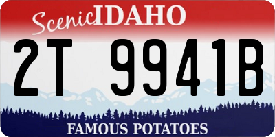 ID license plate 2T9941B