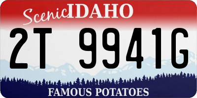 ID license plate 2T9941G