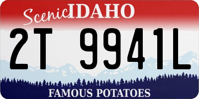 ID license plate 2T9941L