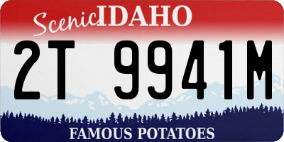 ID license plate 2T9941M