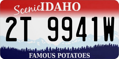 ID license plate 2T9941W