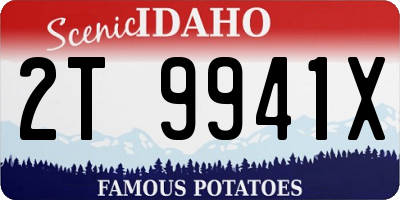 ID license plate 2T9941X