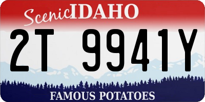 ID license plate 2T9941Y