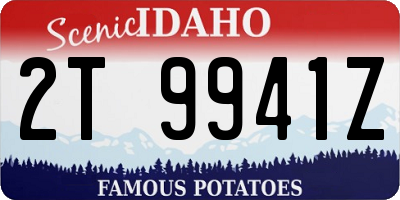 ID license plate 2T9941Z