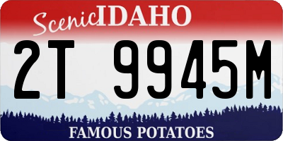 ID license plate 2T9945M