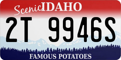 ID license plate 2T9946S