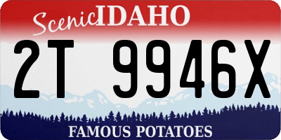 ID license plate 2T9946X