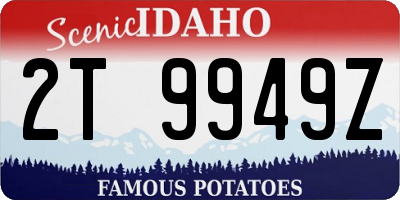 ID license plate 2T9949Z