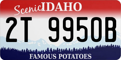 ID license plate 2T9950B