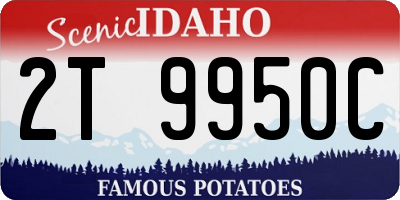 ID license plate 2T9950C