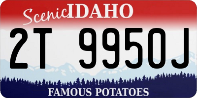 ID license plate 2T9950J