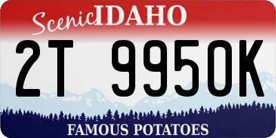 ID license plate 2T9950K